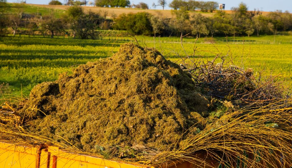 Sfalci e potature: quando diventano rifiuti e scatta la discarica abusiva